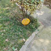 фото из отзыва ID 2330731