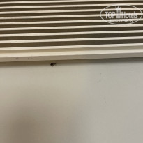 фото из отзыва ID 2330761