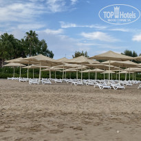 фото из отзыва ID 2330769