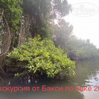 фото из отзыва ID 2330844