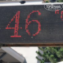 фото из отзыва ID 2330841