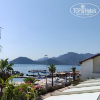 фото из отзыва ID 2330874