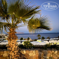 фото из отзыва ID 2330865