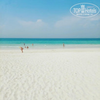 фото из отзыва ID 2330899