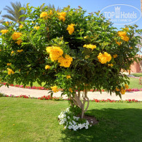 фото из отзыва ID 2330904