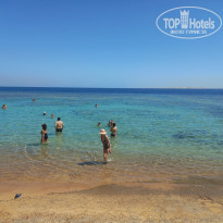 фото из отзыва ID 2330904