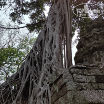 фото из отзыва ID 2330677