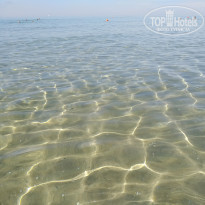 фото из отзыва ID 2330995