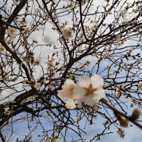 фото из отзыва ID 2331005