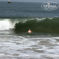 фото из отзыва ID 2331047