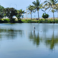 фото из отзыва ID 2331088