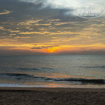 фото из отзыва ID 2331088