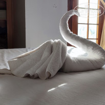 фото из отзыва ID 2331149