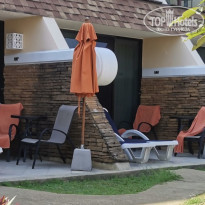 фото из отзыва ID 2331196