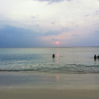 фото из отзыва ID 2331196