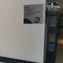 фото из отзыва ID 2331196