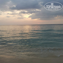 фото из отзыва ID 2331196