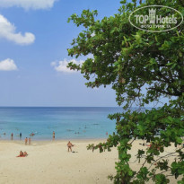 фото из отзыва ID 2331196