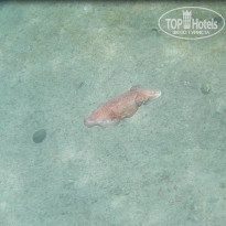 фото из отзыва ID 2331196