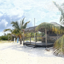 фото из отзыва ID 2331207