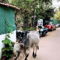 фото из отзыва ID 2331246