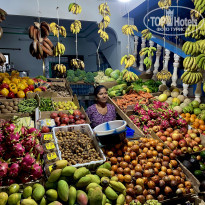 фото из отзыва ID 2331246