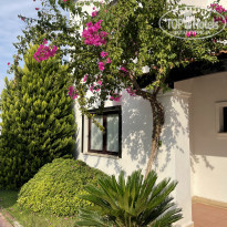 фото из отзыва ID 2331283