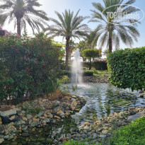 фото из отзыва ID 2331481