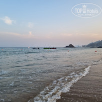 фото из отзыва ID 2331481