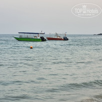 фото из отзыва ID 2331481