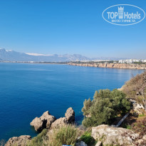 фото из отзыва ID 2331713