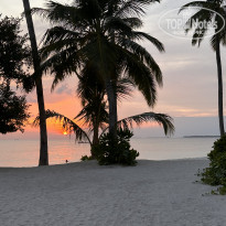 фото из отзыва ID 2331735