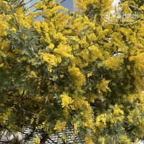 фото из отзыва ID 2331855