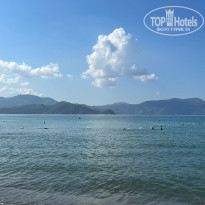 фото из отзыва ID 2331884