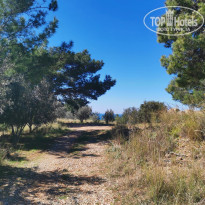 фото из отзыва ID 2331919