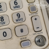 фото из отзыва ID 2331923