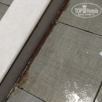 фото из отзыва ID 2331923