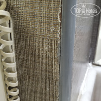 фото из отзыва ID 2331923