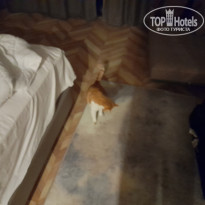 фото из отзыва ID 2331978