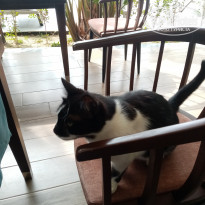 фото из отзыва ID 2331978