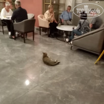 фото из отзыва ID 2331978