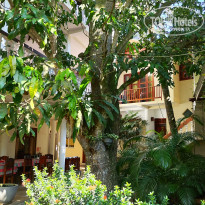 фото из отзыва ID 2332137