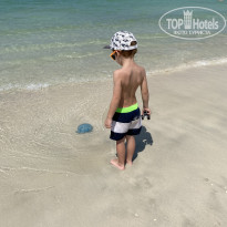 фото из отзыва ID 2332246