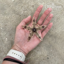 фото из отзыва ID 2332246