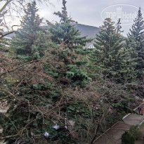 фото из отзыва ID 2332123