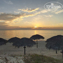 фото из отзыва ID 2332419