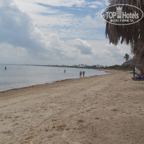 фото из отзыва ID 2332419