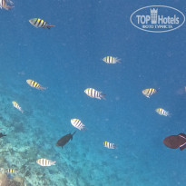 фото из отзыва ID 2332003