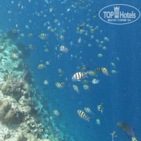 фото из отзыва ID 2332003