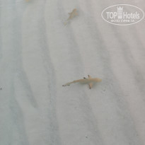 фото из отзыва ID 2332003